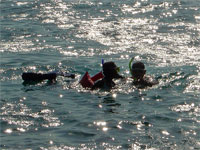 GtB Gallery September 08 Snorkling at Turneffe Atoll from W. Medina