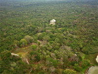 GtB Only 5% of Lamanai is not coverred from the nearby jungle