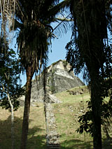 GtB El Castillo erhebt sich mäjestätisch durch das Dschungeldach von Xunantunich in Belize