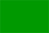 Belize Green 4 Fourth Phase Hurricane Flag