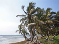 GtB Zu verkaufen Sandstrand in
Belize.
