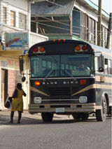 GtB Bus in
                                Santa Elena im Westen von Belize