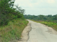 GtB The Old Northern Highway in Belize