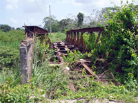 GtB Train Bridge, close to Marry Sharps in the Stann Creek Valley