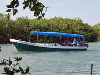 GtB Geniessen Sie die Natur am Mango Creek im südlichen Belize
