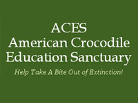 GtB Helfen Sie der AECS  American Crocodile Education Sancturay in Belize