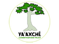 GtB Help Ya’axché biodiversity conservation in the Golden Stream Watershed in Belize
