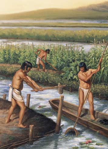 Maya Landwirtschaft in Belize